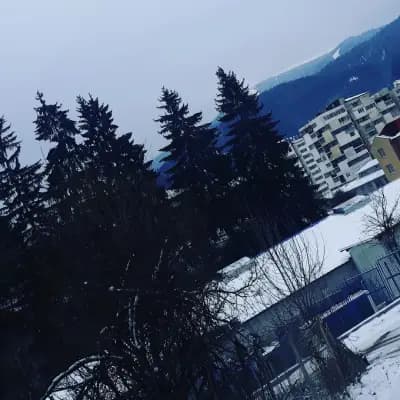 Апартаменти "Орфей"