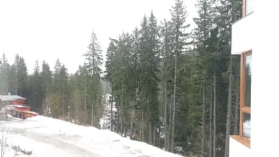 Ski & Holiday Apartments in Pamporovo