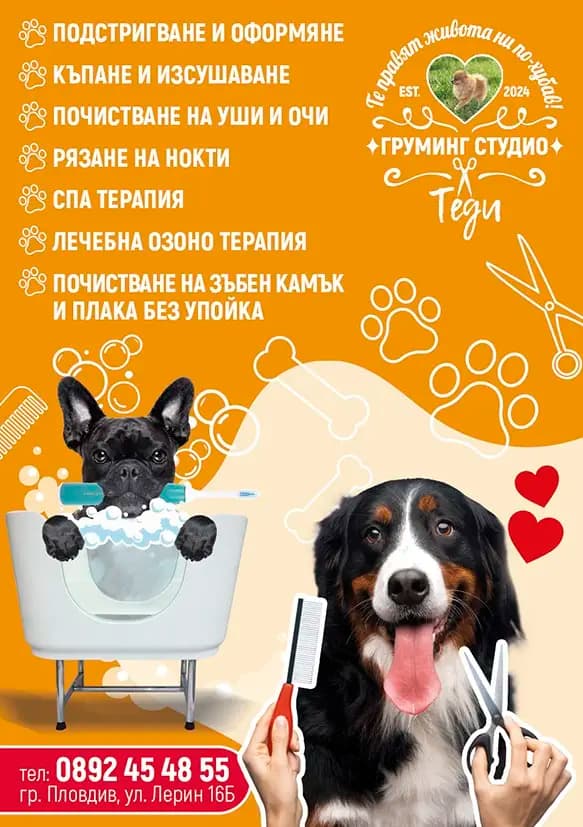 Груминг Студио ТЕДИ І Рязане на нокти І Почистване на уши и зъбен камък І Къпане І Сушене І Подстригване