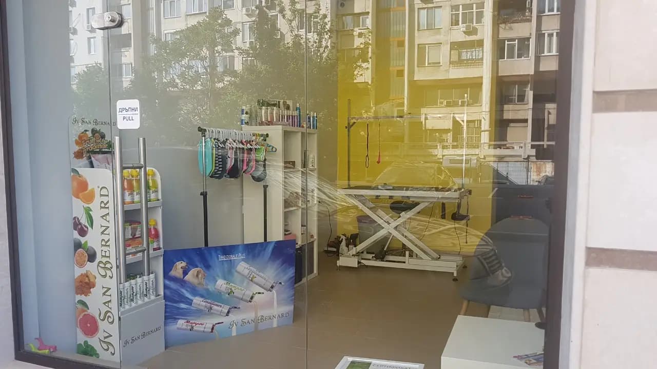 Полина Цветкова груминг студио Polina Tsvetkova Grooming studio