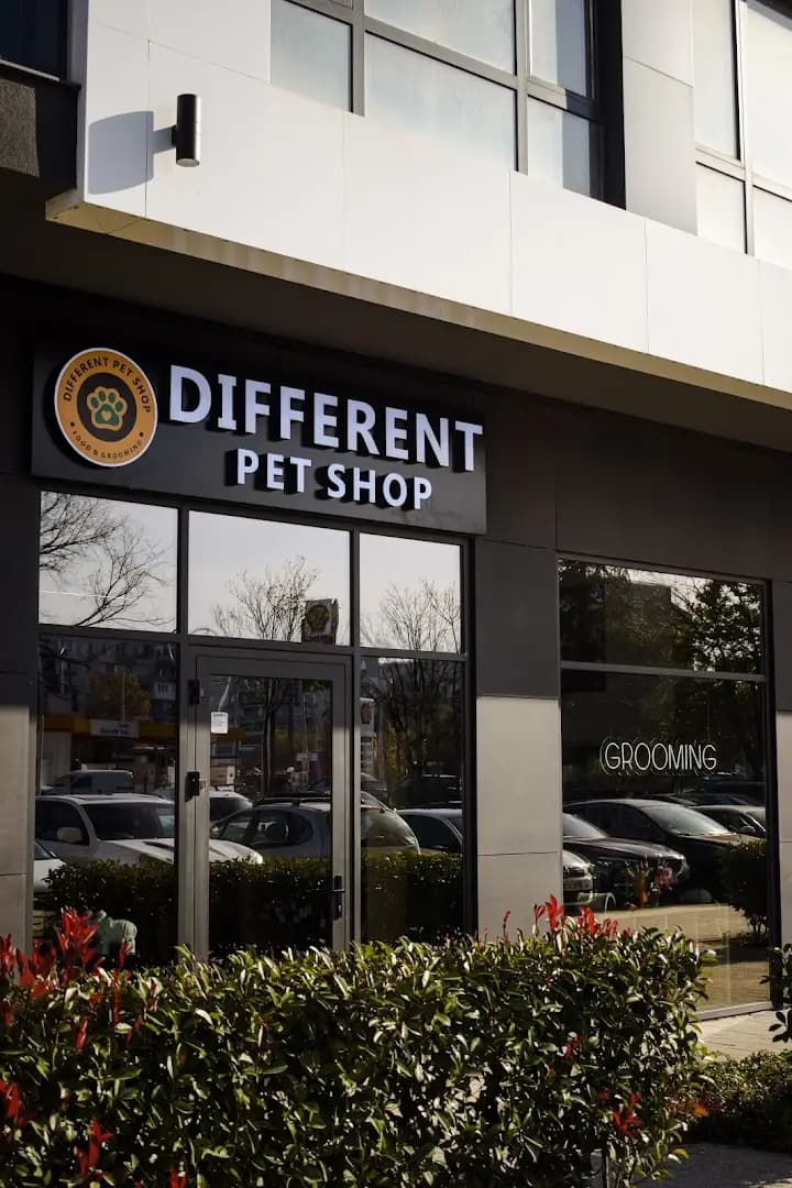 Different Pet Shop and Grooming/ Различният зоомагазин и груминг