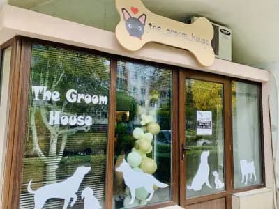 The Groom House І Груминг салон І Груминг студио І Подстригване на кучета І Салон за кучета
