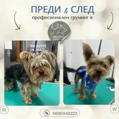 Силора - Груминг Салон
