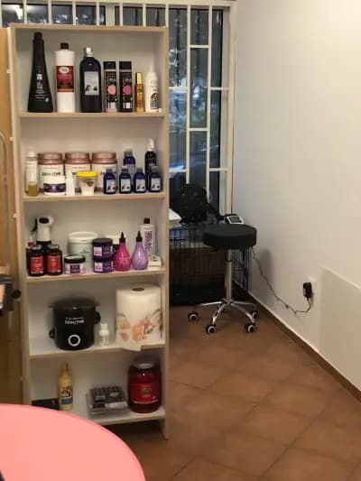 Felix dogs І Професионален груминг І Фризьорски салон І СПА център за кучета І София