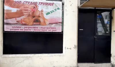 Зоофризьор за дребни кучета- Грумия