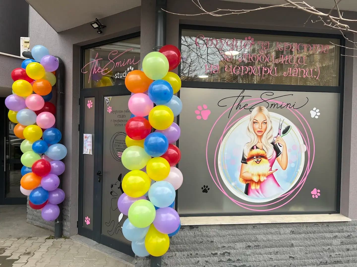 The Smini Groomer Pet Studio Фризьорско Студио за Кучета