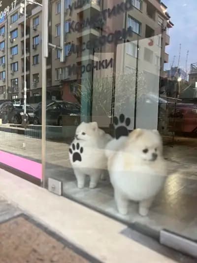 Груминг-салон BluePink Grooming Salon