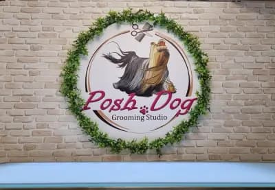 Posh Dog - Груминг студио