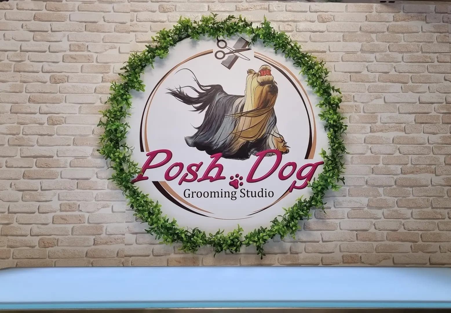 Posh Dog - Груминг студио