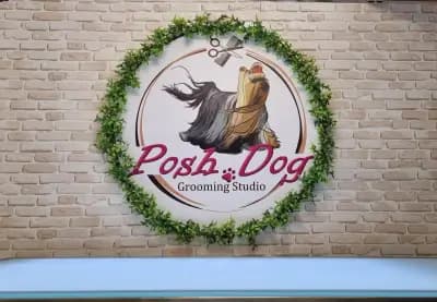 Posh Dog - Груминг студио