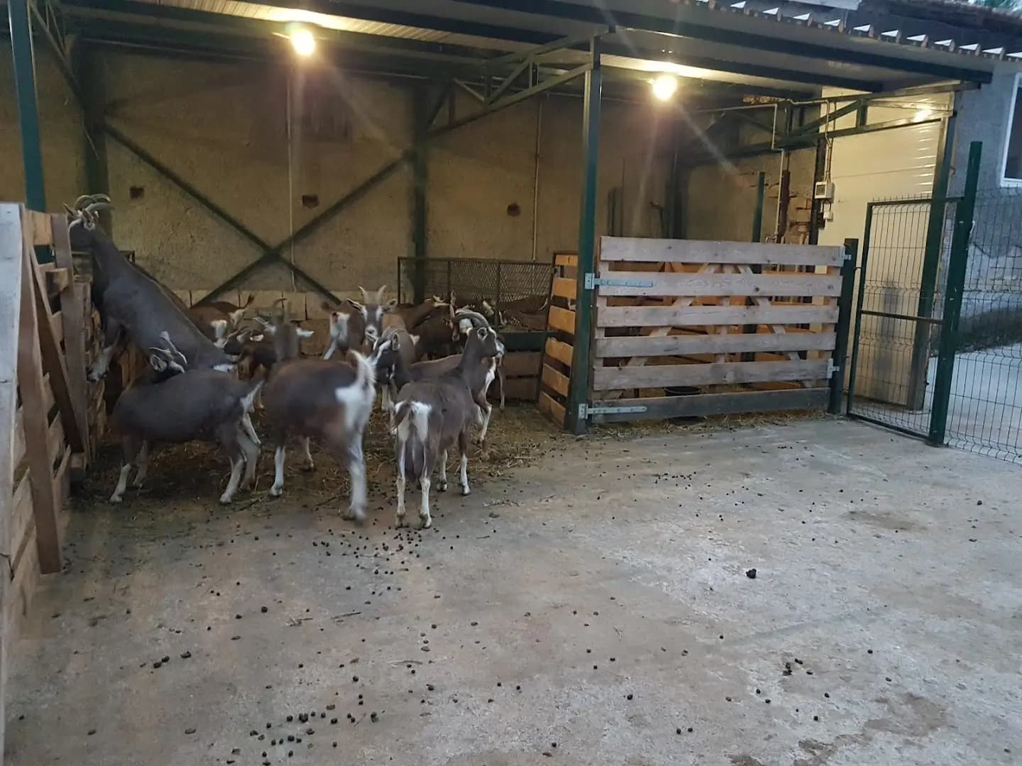 Семейна биоферма TODOROVFARM