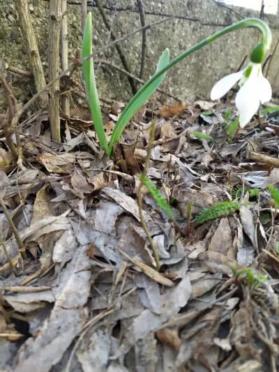 SmartBio | Оfficial distributor of ProViotic | СмартБио - официален дистрибутор на ПроВиотик