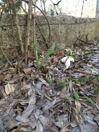 SmartBio | Оfficial distributor of ProViotic | СмартБио - официален дистрибутор на ПроВиотик