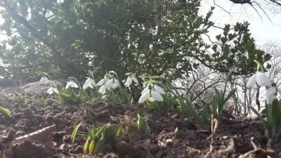 SmartBio | Оfficial distributor of ProViotic | СмартБио - официален дистрибутор на ПроВиотик