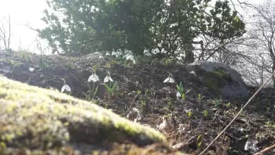 SmartBio | Оfficial distributor of ProViotic | СмартБио - официален дистрибутор на ПроВиотик