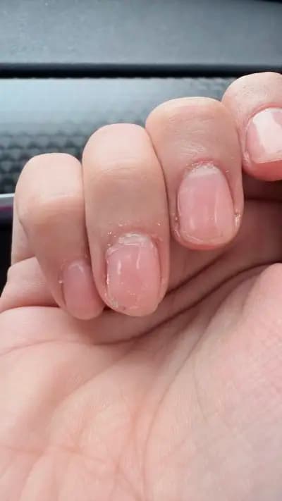 Dolce Mani