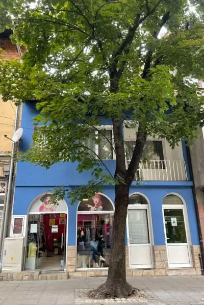TSARINI