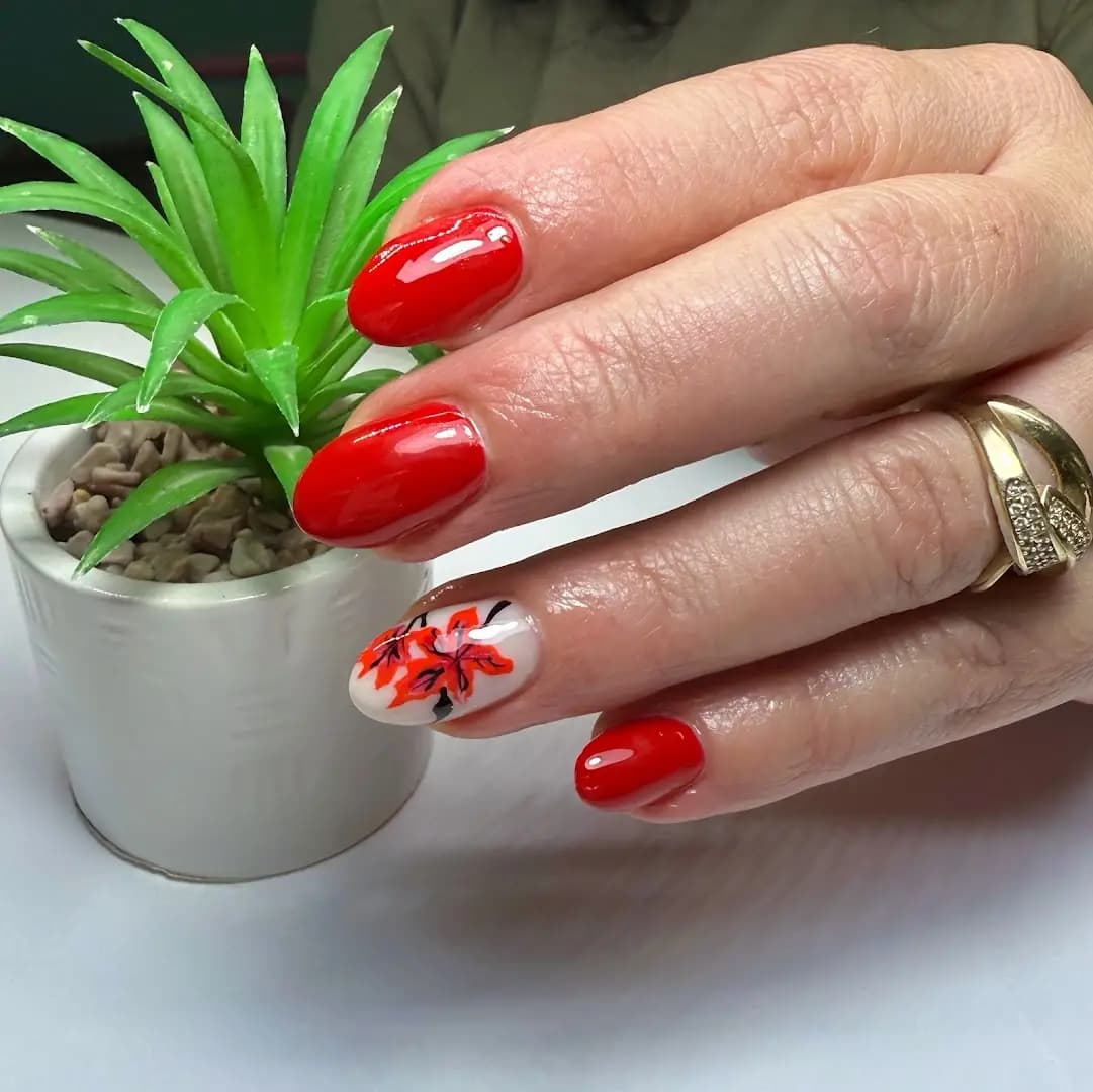 Маникюр педикюр Златоград - Mary Nail Studio