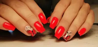 Cveti beauty studio