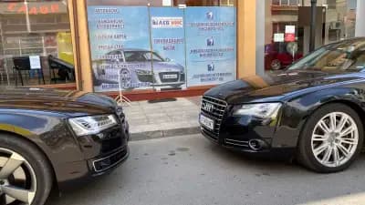 Лев Инс Карнобат
