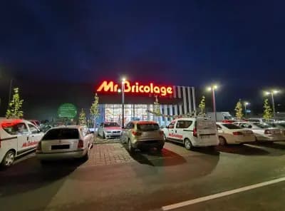 Мосю Бриколаж