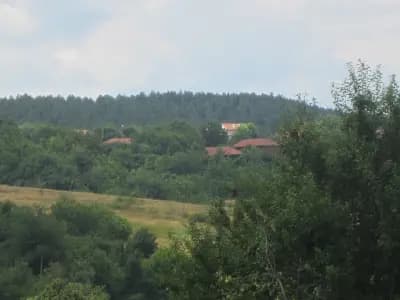 VILLA PIZZUTTI