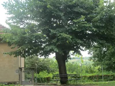 VILLA PIZZUTTI
