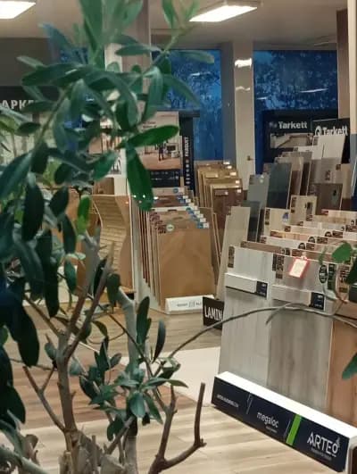 Паркетен свят