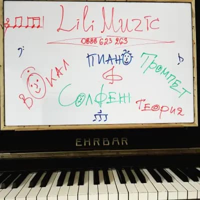 Студио Лили Мюзик