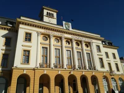 Фото Стария бряст