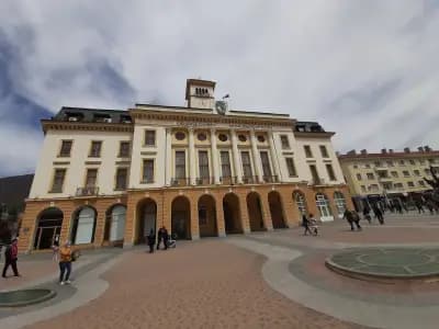 Фото Стария бряст