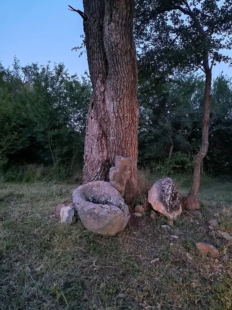 PhotoStell