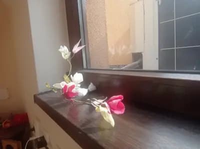 Йога Дивали