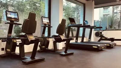 Renew Sport Center | AZUR PREMIUM