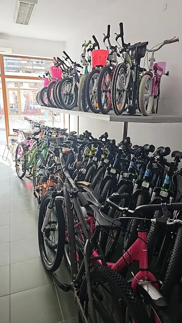 Bicycle shop Koleloto