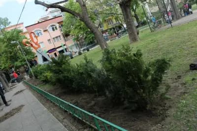 Ботева градина