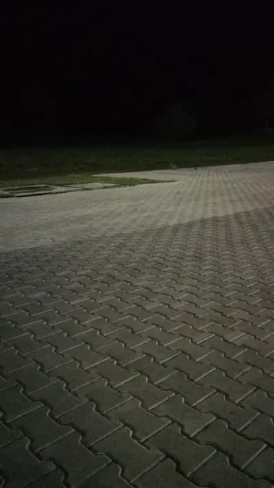 Мултивак България ЕООД