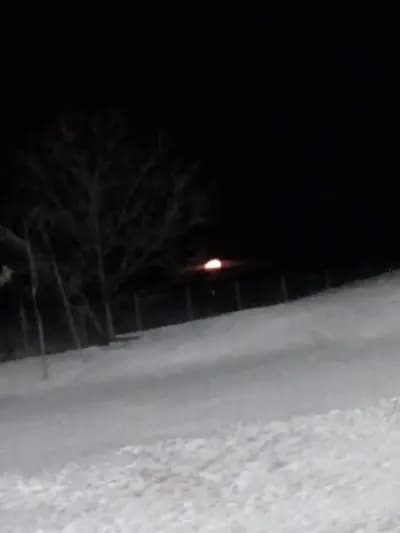 Мултивак България ЕООД