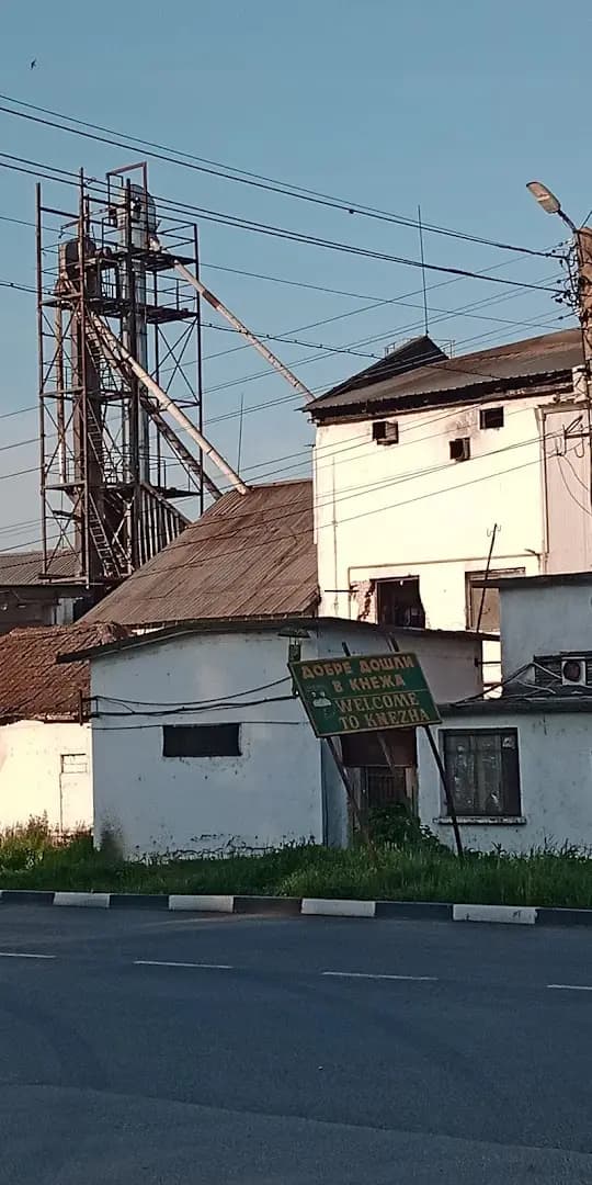 ОЛИВА