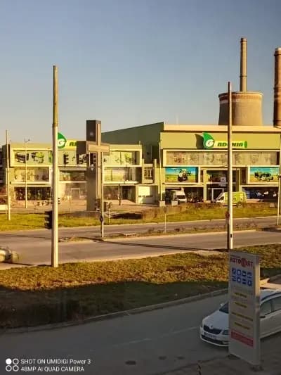 Гардения Антана