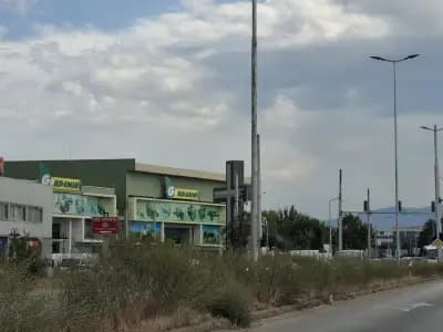 Гардения Антана