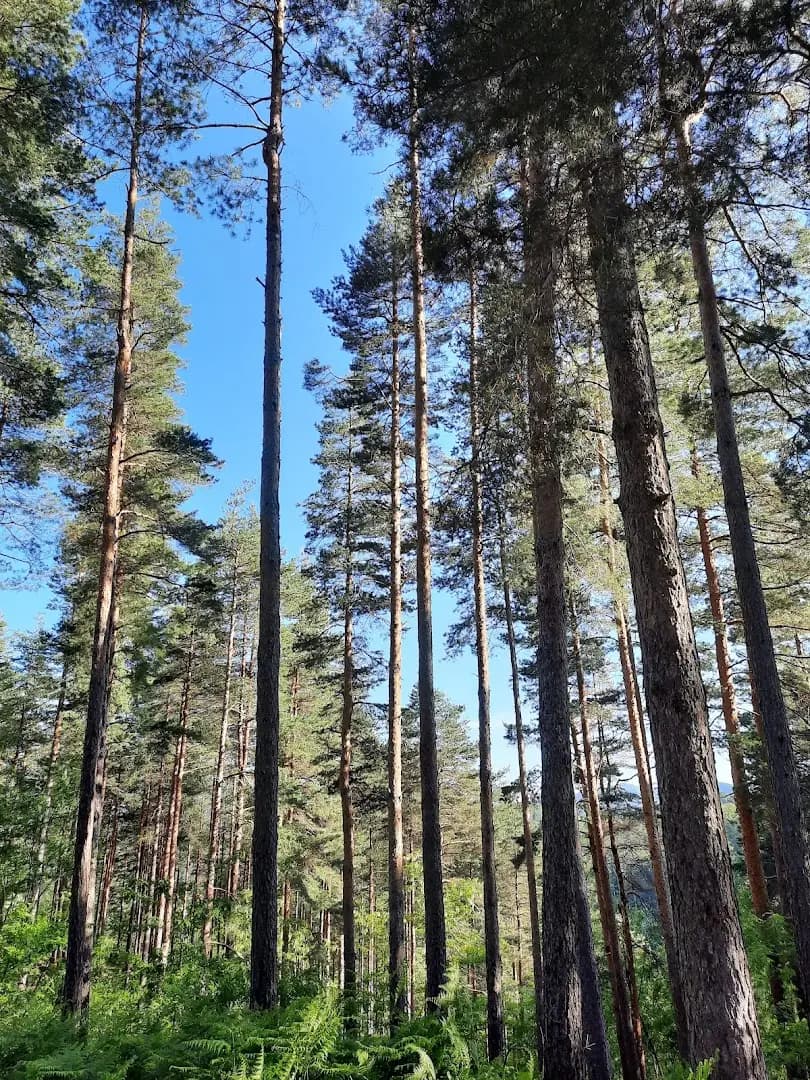 Екскурзовод
