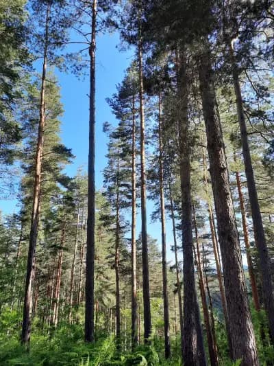 Екскурзовод
