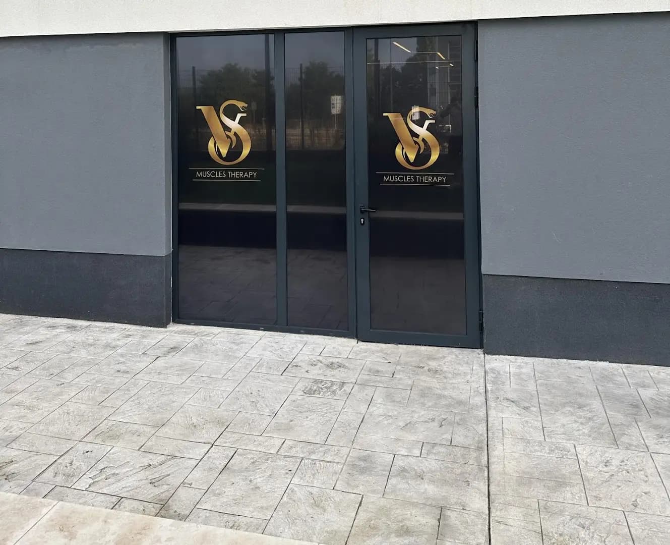 VS Muscles Therapy