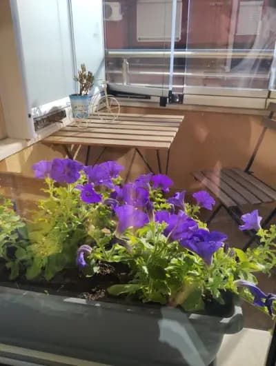 Happy Apartment & Free Breakfast - Mladost
