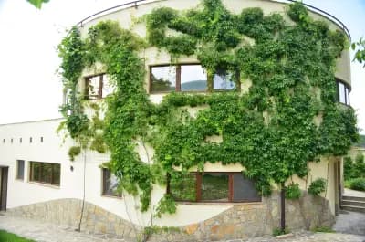 Nest.bg