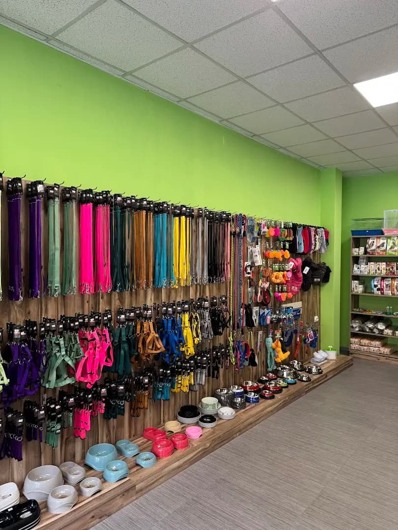 Bellezza Pet Store Grooming & Spa