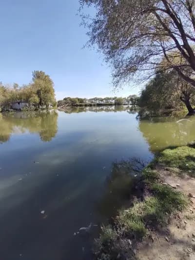 Кисимови дупки