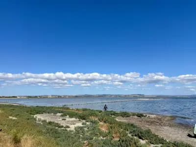 Безплатни Кални Бани