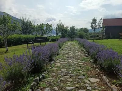 Къща за гости Villa Belleza
